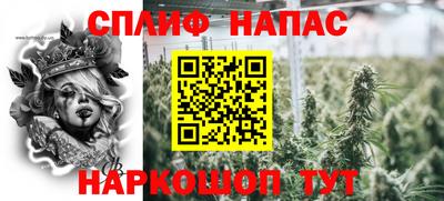 дмт Можга
