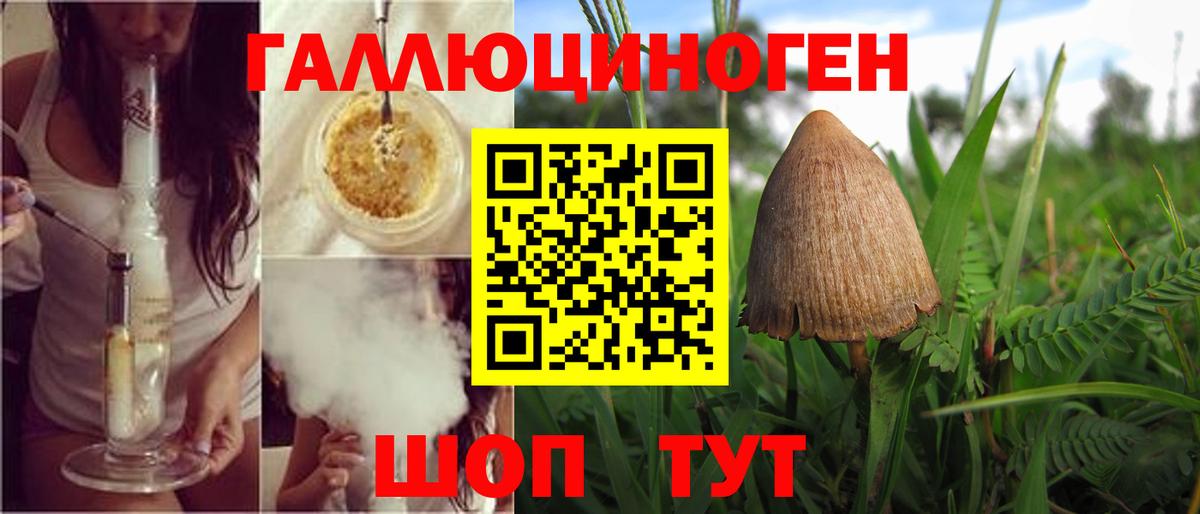 Псилоцибиновые грибы Psilocybine cubensis  Вход с VPN  Стрежевой 