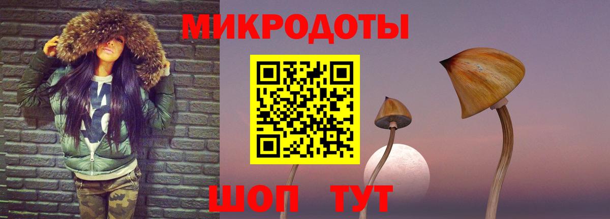 Галлюциногенные грибы Cubensis Стрежевой